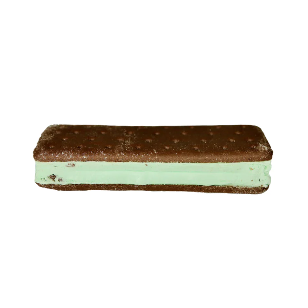 Astronaut Mint Chocolate Chip Ice Cream Sandwich - Image 3